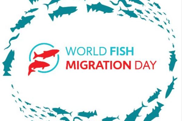 Cover World Day of Fish Migration