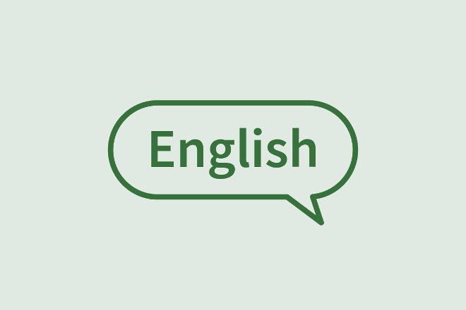  Icon Englisch English