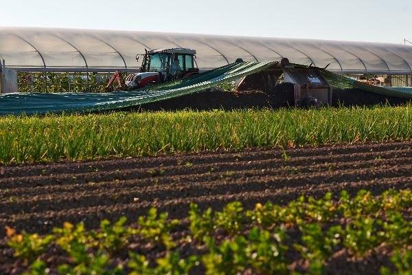 Traktor mit Kompostumsetzungsmaschine - Verfahrensschritt bei der Kompostierung, bei dem das Material intensiv durchmischt wird.