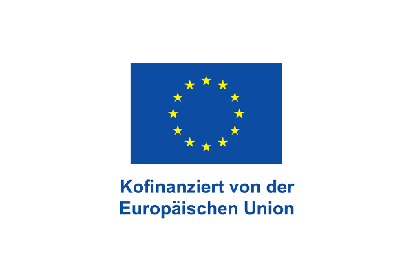 Icon European Union with addition