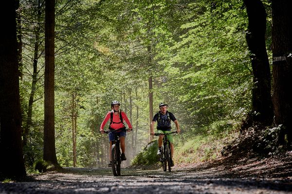 Mountain bikers in the forest