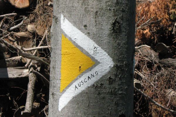 Marking a hiking trail in the forest