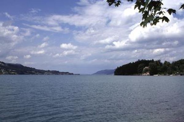Attersee with the lakeshore in summer