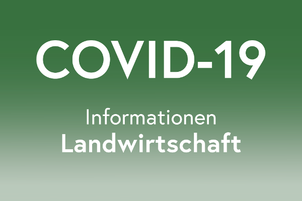 Grünes Icon mit Schriftzug COVID 19 Informationen Landwirtschaft