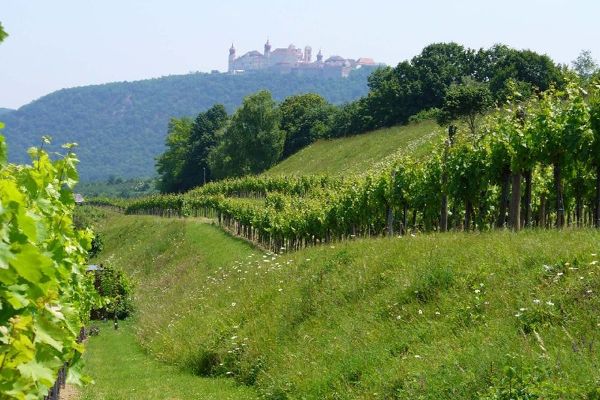 Natura Trail Wein und Natur