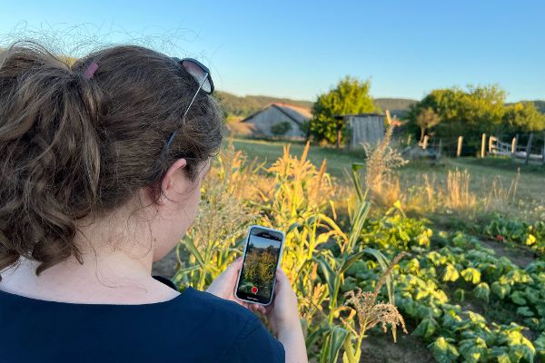 Frau hält ein Iphone in der Hand und fotografiert nachhaltige Pflanzenproduktion