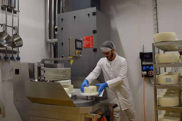 Herstellung von Käse