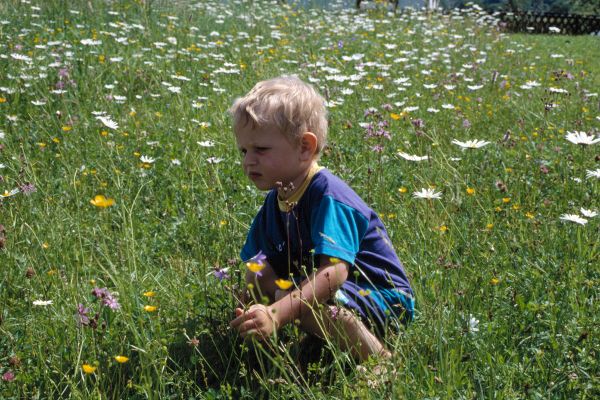 Kind in einer Blumenwiese