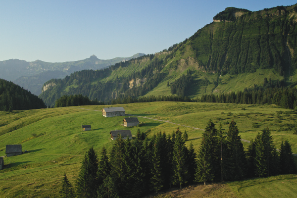 Landschaftsaufnahme - Schnell Vorsäß oberhalb Hinterreuthe 