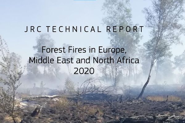 Technischer Report 2020