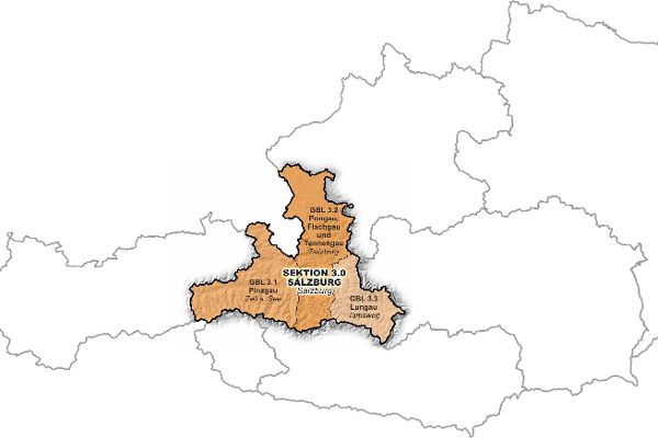 Österreichkarte mit Markierung von Salzburg der Wildbach- und Lawinenverbauung