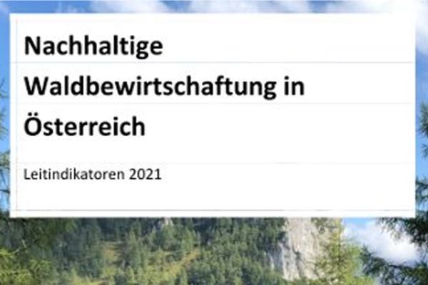 Nachhaltige Waldbewirtschaftung in Österreich - Leitindikatoren 2021