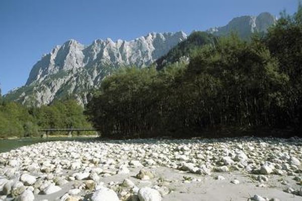 Das Foto zeigt das Ufer eines Flusses im Nationalpark Gesäuse. 