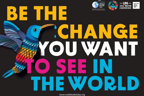Ein Kolibri, aus dessen Schnabel Wasser auf den Schriftzug "Be the change you want to see in the world" tropft. Darüber Logos von UN-Water.