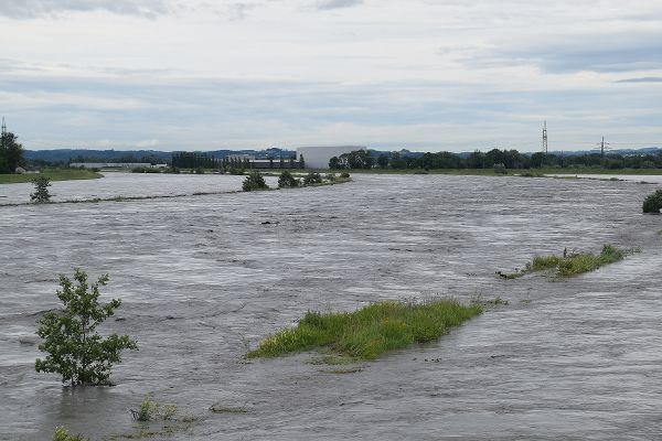 Hochwasser am Rhein am 17. Juni 2016