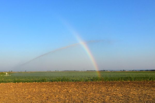 Landwirtschaftliche Bewässerung im Tullnerfeld