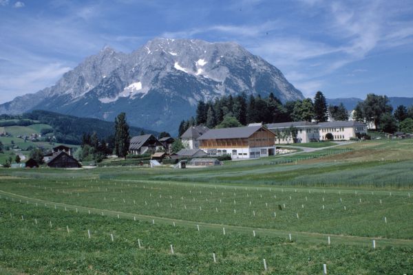Grassland tests at the federal institute in Gumpenstein