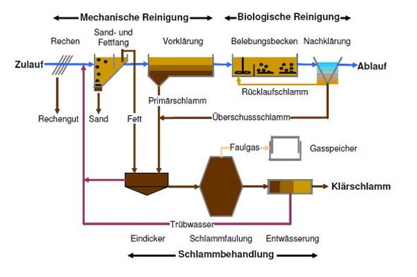 Flow diagram of a mechanical-biological sewage treatment plant