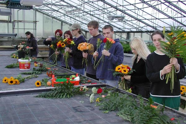 Schülerinnen und Schüler im Glashaus beim Binden von Blumensträußen