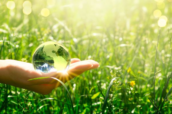 Earth,Glass,Globe,In,Human,Hand,On,Green,Grass,Background.