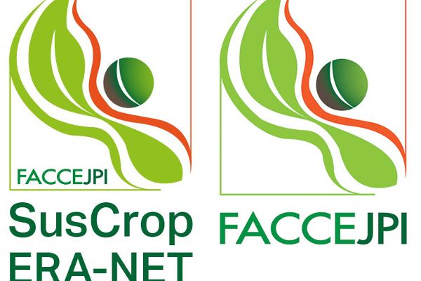Logo von FACCE JPI und SUSCROP ERA-NET
