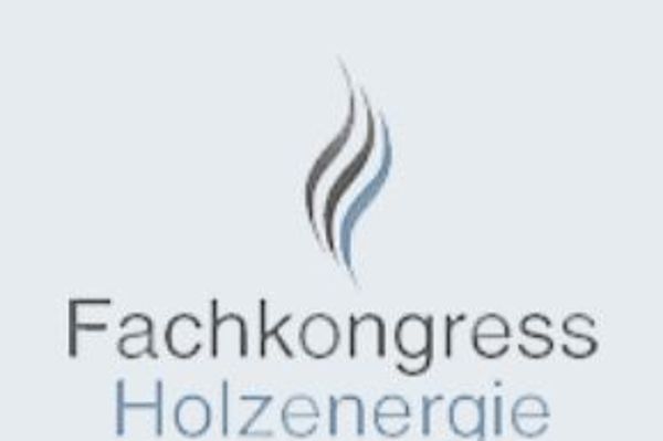 Cover Fachkongress Holzenergie