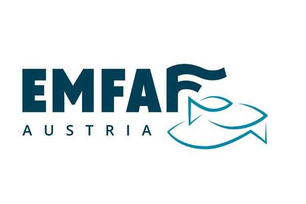 Logo EMFAF