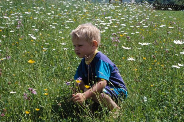 Kind auf Blumenwiese