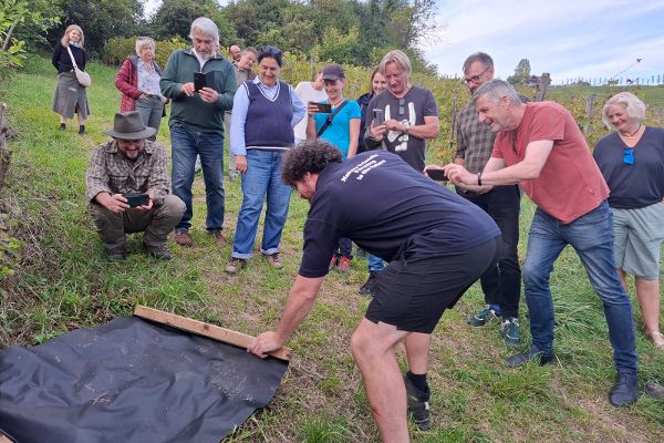 Eine Gruppe interessierter Menschen steht am Rand eines Weingartens im Gras. Alle schauen neugierig, teils mit gezücktem Mobiltelefon filmend, auf eine Person im Vordergrund, welche vorsichtig eine dunkle Plane vom Boden hochhebt. Es ist dies ein auf Eigeninitiative des Landwirten eingerichtetes, gut angenommenes, wärmendes Habitat für die Bewirtschaftungspartner - die Reptilien.