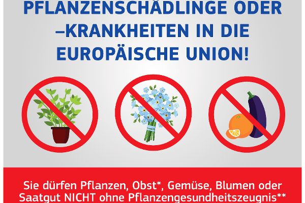 Poster - Bringen Sie keine Pflanzenschädlinge oder Krankheiten in die Europäische Union