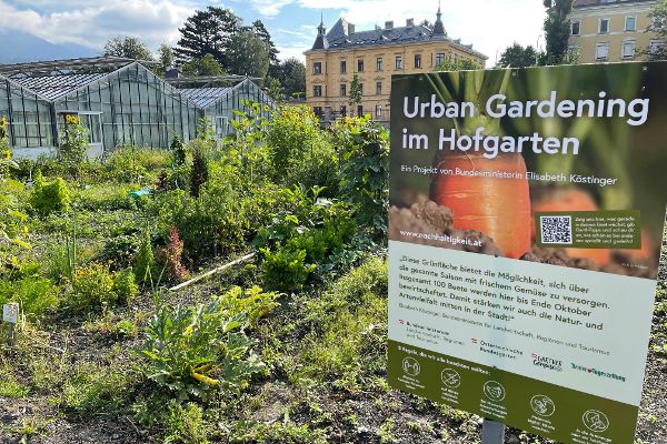 Das Bild zeigt die Urban Gardening-Beete beim Innsbrucker Hofgarten