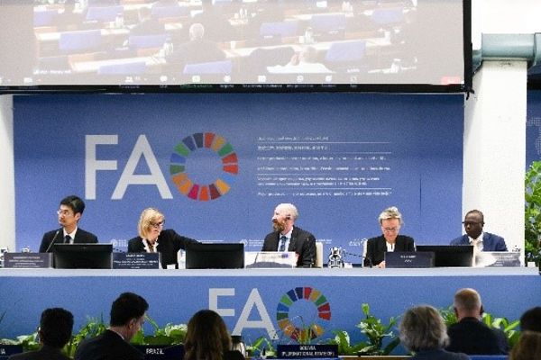 Der Vorsitz bei der 26. Tagung des Ausschusses für Forstwirtschaft der FAO