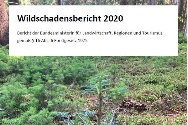 Titelbild Wildschadensbericht 2020