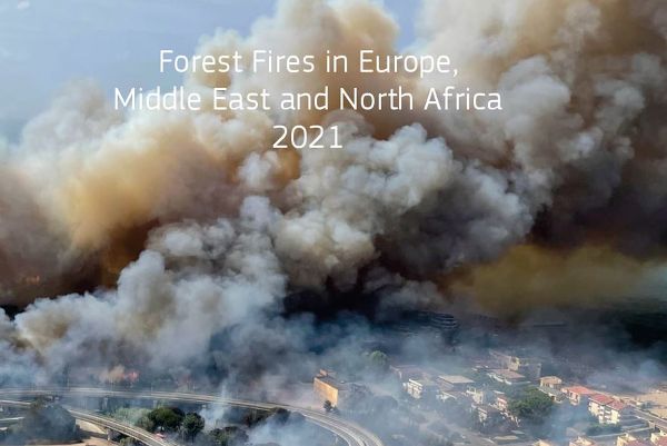 Waldbrandjahr 2021
