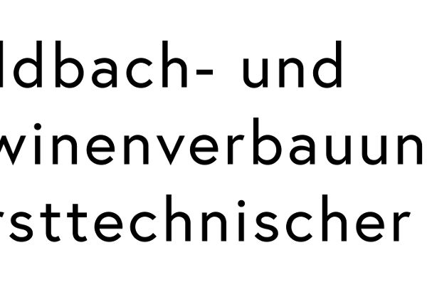 Logo Wildbach- und Lawinenverbauung, Forsttechnischer Dienst