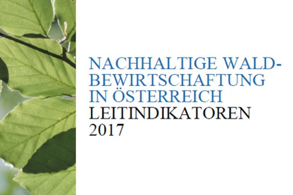 Coverbild Broschüre Nachhaltige Waldbewirtschaftung in Österreich