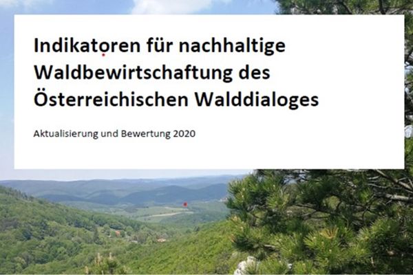 Waldlandschaft als Titelbild für den Indikatorenbericht 2020