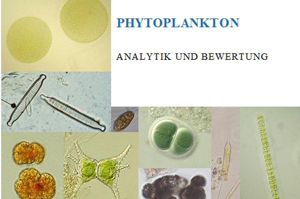 Coverbild Phytoplankton 