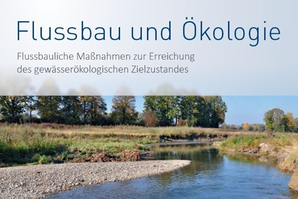 Coverbild der Publikation Flussbau und Ökologie - Flussbauliche Maßnahmen zur Erreichung des gewässerökologischen Zielzustands