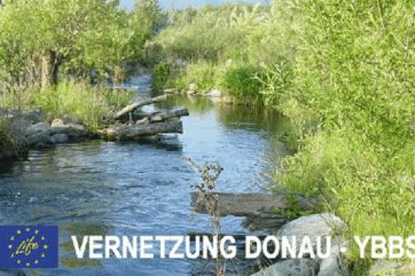 Vernetzung Donau - Ybbs