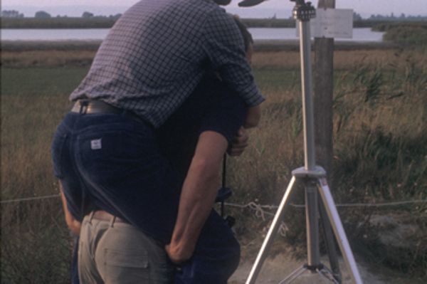 Ein Mann schaut durch ein Fernrohr zur Vogelbeobachtung am Neusiedlersee-Seewinkel