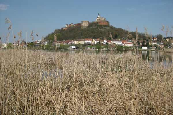 Blick von den Teichen auf die Burg Güssing