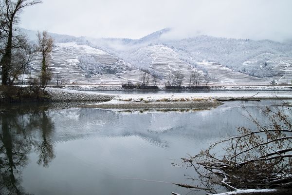 Das Foto zeigt die Donau bei Rührsdorf mit schneebedeckten Weinbergen im Hintergrund