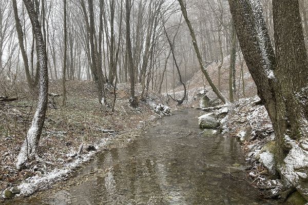 Weidlingbach im Wienerwald, Waldbach mit Uferbewuchs, winterliche Verhältnisse.