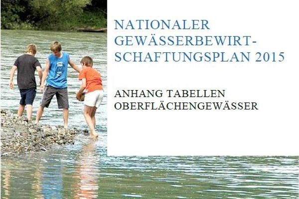 Coverbild Nationaler Gewässerwirtschaftsplan 2015