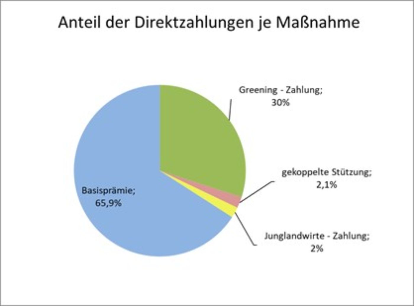 Grafik - Anteil der Direktzahlungen je Maßnahme