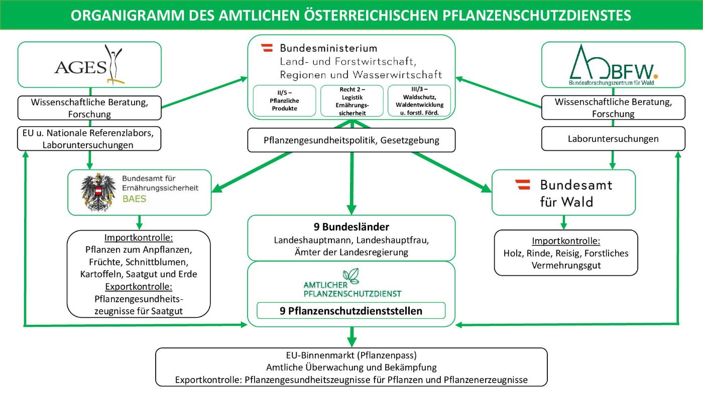 Organigramm des Amtlichen Österreichischen Pflanzenschutzdienstes