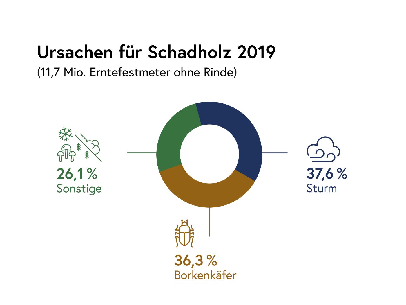 Infografik: Ursachen für Schadholz 2019: 11,7 Millionen Erntefestmeter ohne Rinde: 37,6 Prozent Sturm, 36,3 Prozent Borkenkäfer, 26,1 Prozent Sonstige