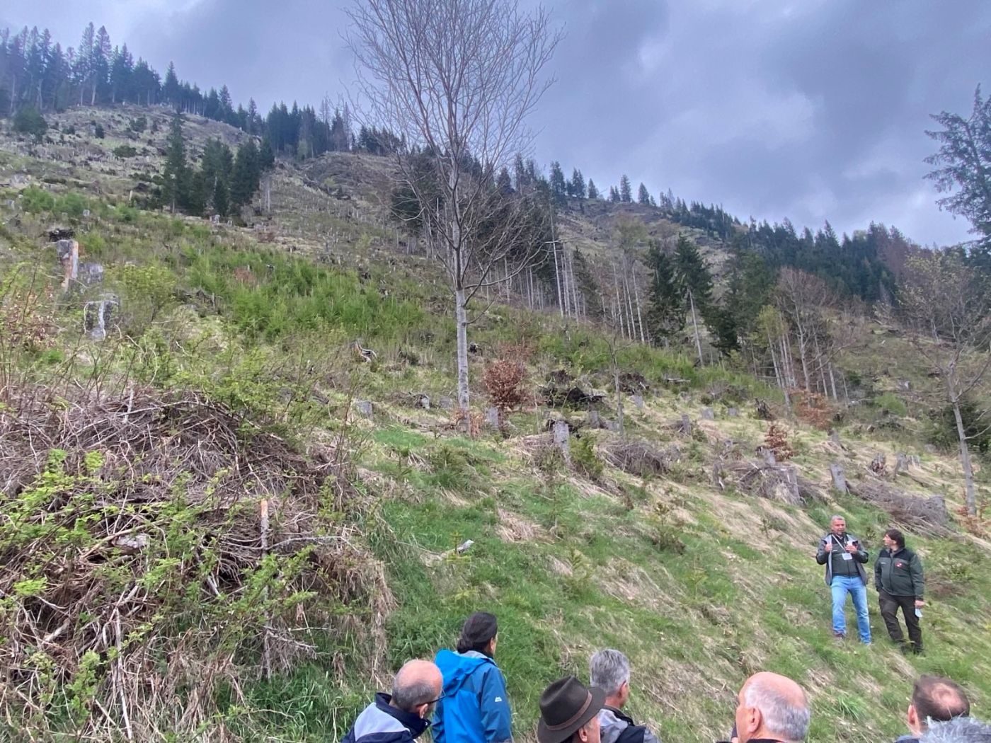 Exkursion zu einer Schadfläche in Osttirol