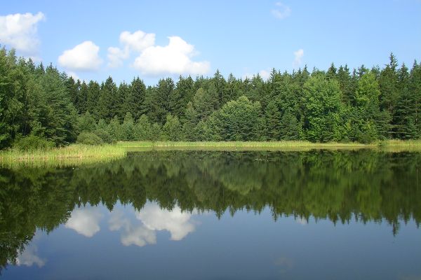 Steinfurth pond